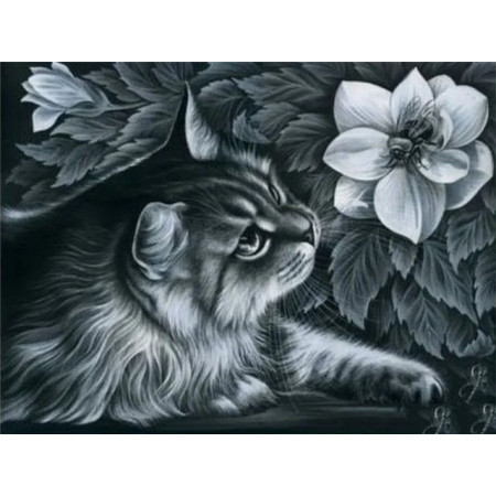 Chat Contemplatif et Fleur d'Été Diamond Painting