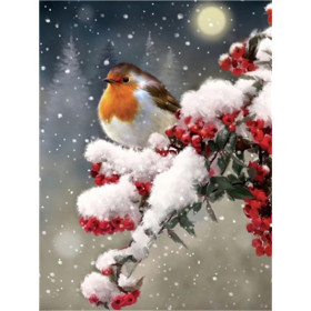 Rouge-gorge sous la Neige Hivernale Diamond Painting