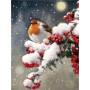 Rouge-gorge sous la Neige Hivernale Diamond Painting