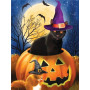 Chat Sorcier dans la Citrouille d'Halloween Diamond Painting