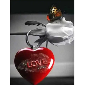 Love en Diamants : Cœur Rouge et Rose Blanche Diamond Painting