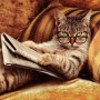Chat Tigré Lecteur aux Lunettes Vertes Diamond Painting