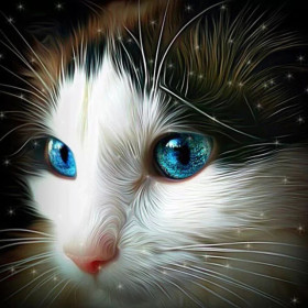 Félin aux Yeux d'Étoiles Diamond Painting