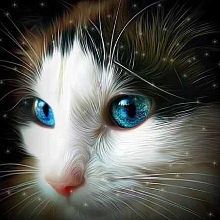 Félin aux Yeux d'Étoiles Diamond Painting