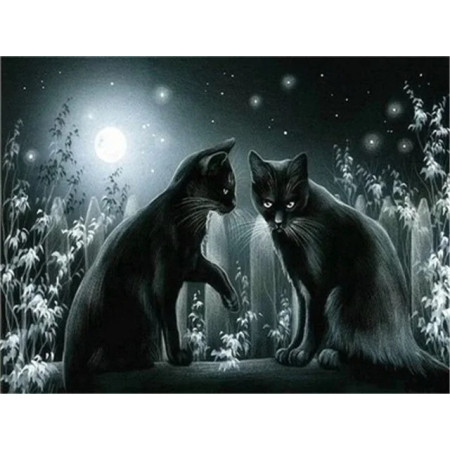 Duo Félin sous la Lune Argentée Diamond Painting