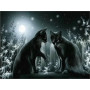 Duo Félin sous la Lune Argentée Diamond Painting