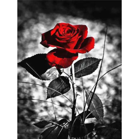 Rose Rouge Éclatante sur Fond Gris Diamond Painting