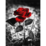 Rose Rouge Éclatante sur Fond Gris Diamond Painting