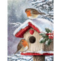 Rouge-gorges sous la Neige : Mangeoire d'Hiver Diamond Painting