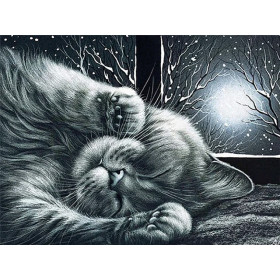 Chat duvet endormi sous la lune d'hiver Diamond Painting