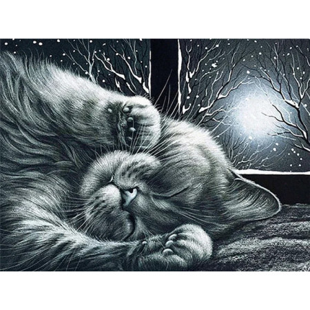 Chat duvet endormi sous la lune d'hiver Diamond Painting