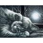 Chat duvet endormi sous la lune d'hiver Diamond Painting