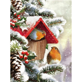 Rouges-Gorges sous la Neige : Nichoir d'Hiver Diamond Painting