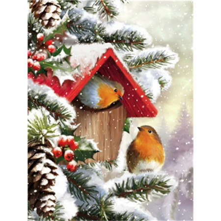 Rouges-Gorges sous la Neige : Nichoir d'Hiver Diamond Painting