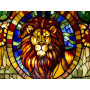 Lion de Vitrail Flamboyant Diamond Painting