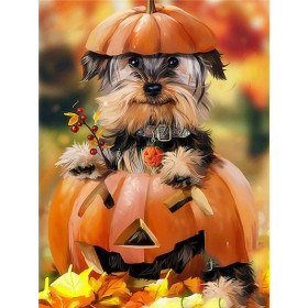 Yorkshire Citrouille d'Halloween Diamond Painting