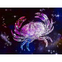 Crabe Cosmique Cancer sous les Étoiles Diamond Painting