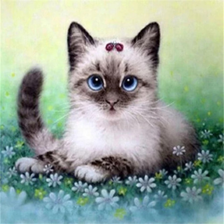 Chaton Siamois aux Fleurs Bleues Diamond Painting