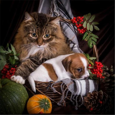 Amis d'Automne : Chat Tigré et Chiot au Panier Diamond Painting