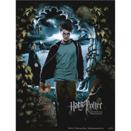 Harry Potter et le Prisonnier d'Azkaban - Affiche Promotionnelle Diamond Painting