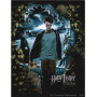Harry Potter et le Prisonnier d'Azkaban - Affiche Promotionnelle Diamond Painting