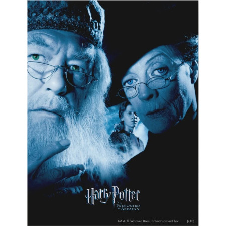Les Gardiens de Poudlard : Dumbledore et McGonagall Diamond Painting