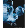 Les Gardiens de Poudlard : Dumbledore et McGonagall Diamond Painting