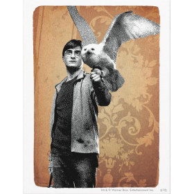 Harry Potter et Hedwige au Parchemin Enchanté Diamond Painting