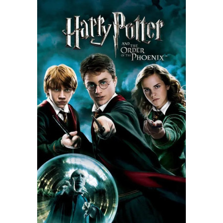 Affrontement Magique : Harry, Ron et Hermione contre Voldemort Diamond Painting