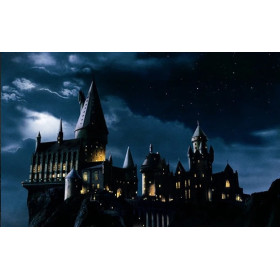 Château de Poudlard sous la Lune Diamond Painting