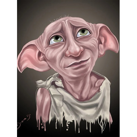 Dobby, l'elfe de maison au regard doux Diamond Painting