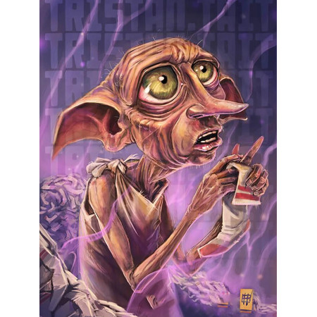 Dobby et la Chaussette Magique Diamond Painting