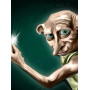 Dobby et la Lumière Magique Diamond Painting