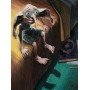 Dobby, l'elfe de maison mélancolique Diamond Painting