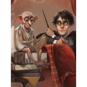 Harry Potter et Dobby : Le Symbole de la Liberté Diamond Painting