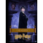 Harry Potter : L'Élu de Poudlard Diamond Painting
