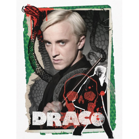 Draco Malfoy : La Marque des Ténèbres Diamond Painting