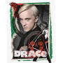 Draco Malfoy : La Marque des Ténèbres Diamond Painting