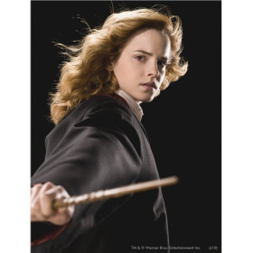 Hermione Granger : Regard de Sorcière Diamond Painting