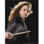 Hermione Granger : Regard de Sorcière Diamond Painting