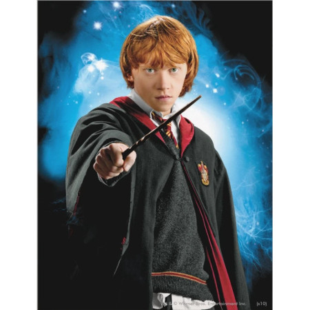 Ron Weasley : Le Sortilège du Gryffondor Diamond Painting