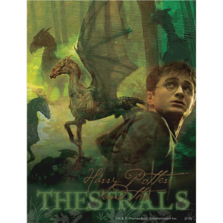 Harry Potter et les Sombrals Diamond Painting