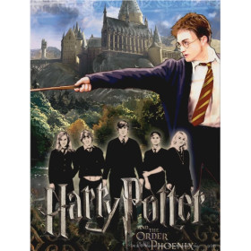 Harry Potter et l'Ordre du Phénix - Affiche Illustrée Diamond Painting