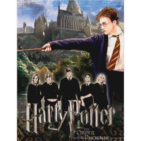 Harry Potter et l'Ordre du Phénix - Affiche Illustrée Diamond Painting