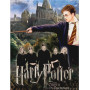 Harry Potter et l'Ordre du Phénix - Affiche Illustrée Diamond Painting