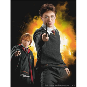 Harry et Ron : Duo Magique Explosif Diamond Painting