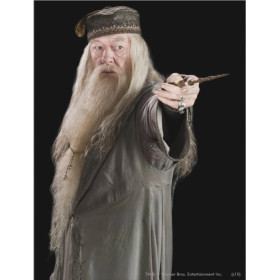 Albus Dumbledore, Portrait du Directeur de Poudlard Diamond Painting