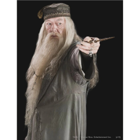 Albus Dumbledore, Portrait du Directeur de Poudlard Diamond Painting