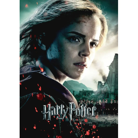 Hermione Granger face aux ruines de Poudlard Diamond Painting
