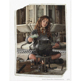 Hermione Granger et la Potion des Secrets Diamond Painting